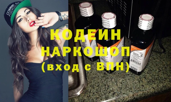 хмурый Арсеньев