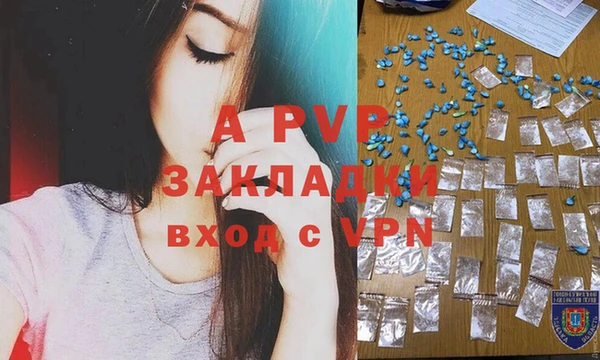 хмурый Арсеньев