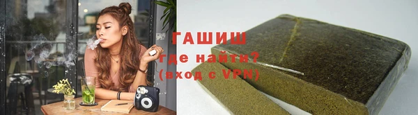 хмурый Арсеньев