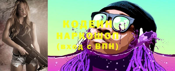 хмурый Арсеньев